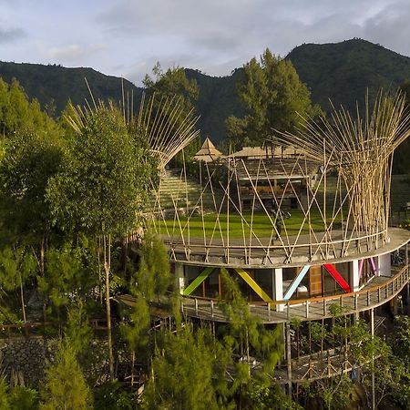 Pagupon Bromo Budget Lodge Eksteriør billede