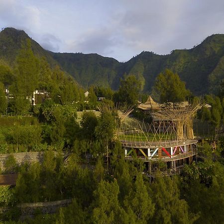 Pagupon Bromo Budget Lodge Eksteriør billede
