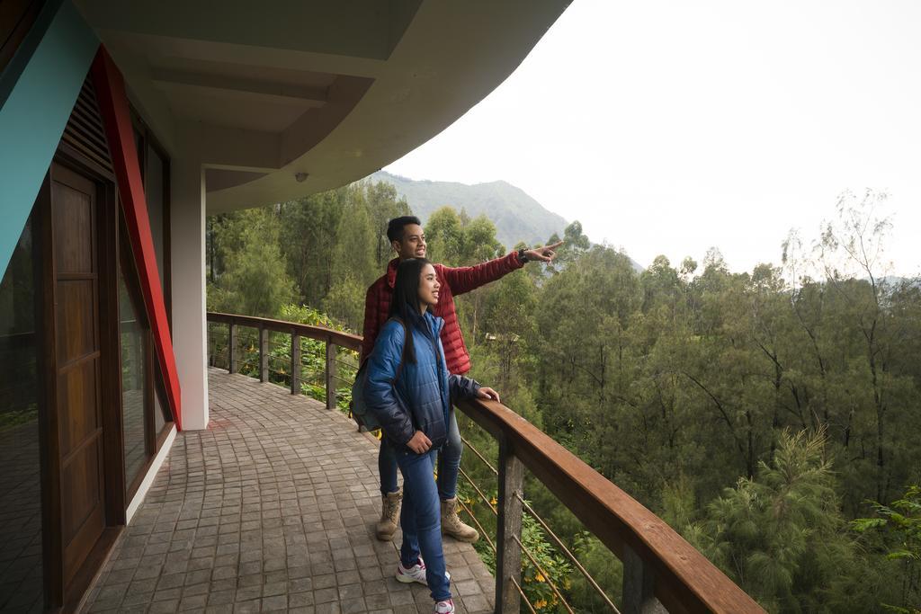 Pagupon Bromo Budget Lodge Eksteriør billede