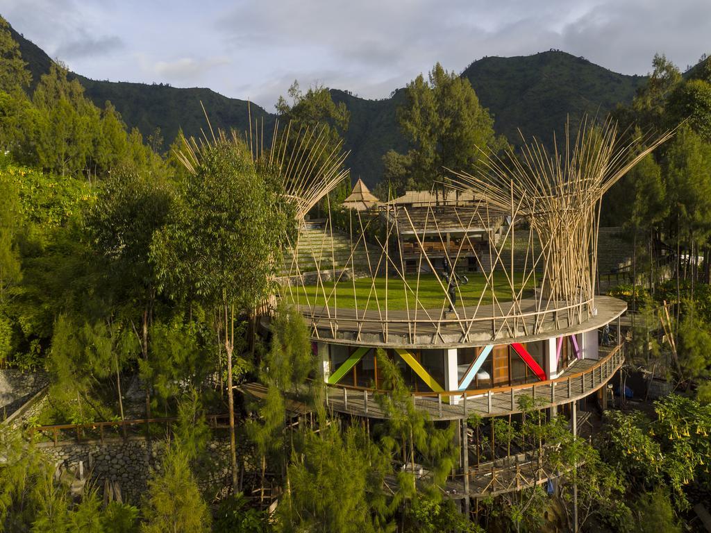 Pagupon Bromo Budget Lodge Eksteriør billede