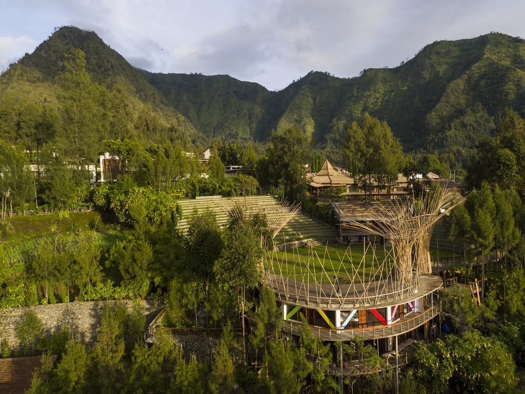 Pagupon Bromo Budget Lodge Eksteriør billede